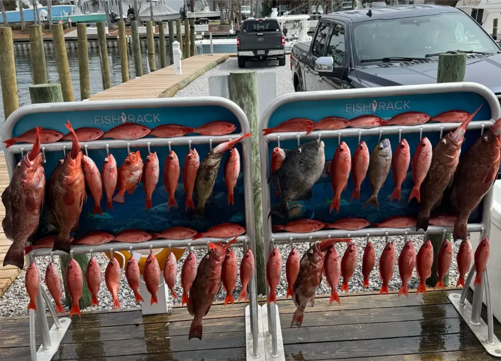Deck full of vermilion snapper caught on an offshore charter with Finatical Charters